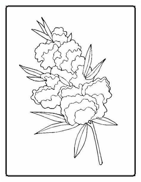 tropical flower coloring pages   tropical flower