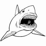 Coloring Pages Shark Open Great Drawing Scary Mouth Megalodon Frightening Jaw Kids Sharks Color Monster Snake Getdrawings Printable Resume Icons sketch template
