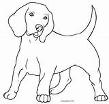 Hund Ausmalbilder Malvorlage Kostenlos Ausdrucken Cool2bkids Malvorlagen sketch template
