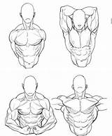 Buff Reference Poses Muscle sketch template
