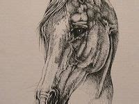 horse drawings ideas horse drawings horse art equine art