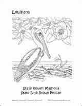 Louisiana Coloring Pages Flower State Printables Crossword History Word Search Bird Crafts Printable Preschool Choose Board Homeschooling sketch template