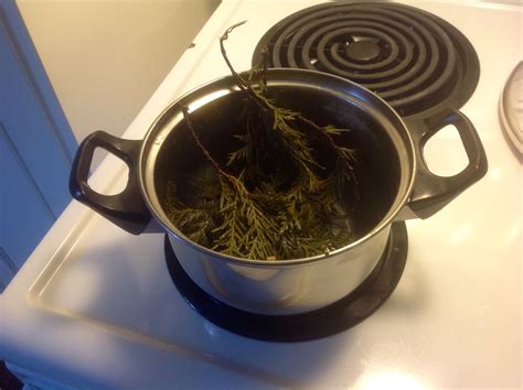 making cedar tea cedar decor tea