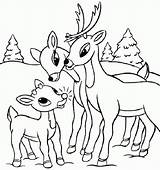Deer Coloring Pages Reindeer Baby Printable Kids Whitetail Santa Family Cute Color Head Christmas Tailed Buck Print Skull Drawing His sketch template