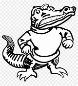 Gators Gator Amphibian Alligator Football Pngfind Crocodile Clipartmax Jing Insertion Kindpng Nicepng sketch template