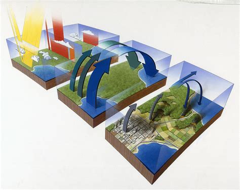 diagram illustrates  greenhouse photograph  mark seidler