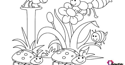 spring animals coloring coloring pages