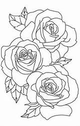 Tattoo Roses Coloringpage sketch template
