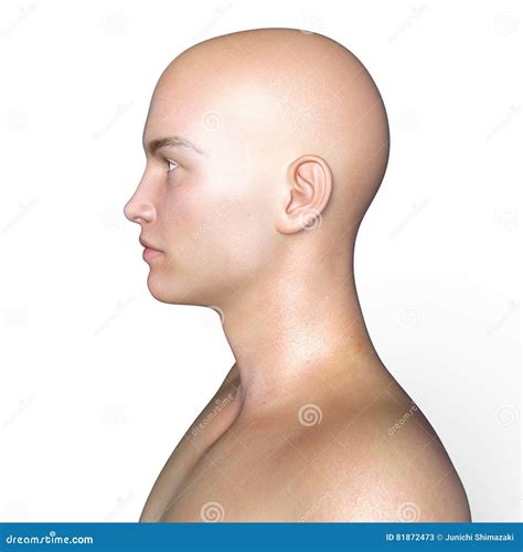 man head stock image image  angle white rendering