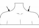 Shoulder Clipart Clipground Cliparts sketch template