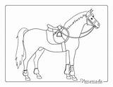 Horse Coloring Pages Easy Saddle Kids Printables sketch template