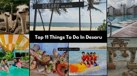 top      desaru johor  attraction travel guide
