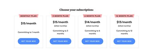 subscription business model pros cons  examples ongoing subscriptions