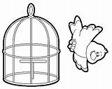Cage Coloring Preschool Comment First sketch template