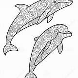 Dolphin Zentangle sketch template
