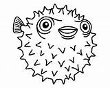 Fish Malvorlage Kleurplaat Coloring Drawing Blowfish Puffer Pages Ausmalbilder Porcupine Ausdrucken Porcupinefish Printable Zum Animales Cartoon Gratis Choose Board Sea sketch template