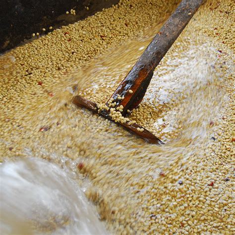 coffee processing washed natural honey wet hulled whats