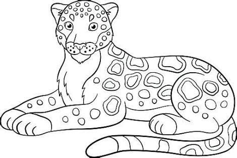 image result  coloring page jaguar coloring pages animal coloring