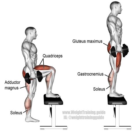 dumbbell step  exercise instructions  video weight training