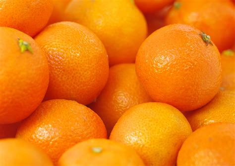 oranges  fruit  vegetable wonders    season  year