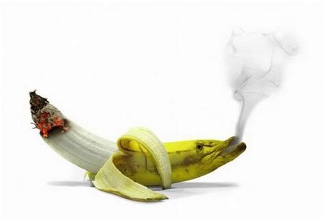 download best funny banana hd wallpapers free wallpapers and images free latestwall