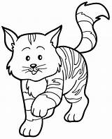 Kolorowanki Koty Druku Kotki Wydruku Walking Malowanki Pobrania Mercat Dollhouse Zwierzęta Obraz sketch template