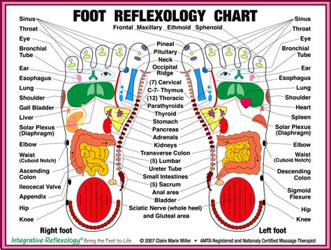 foot reflexology nourish