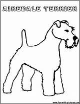 Coloring Airedaleterrier Fun Pages sketch template
