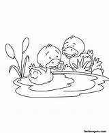 Coloring Baby Duck Printable sketch template