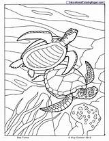 Coloring Pages Sea Turtle Animals Ocean Kids Printable Animal Book Seashore Colouring Sheets Color Books Dibujos Turtles Issuu Beach Printables sketch template