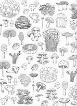 Mushroom Pilz Cottagecore Pg Pilze Gilda Jocaux Aquarell Blumenbilder Easydrawings Decordiyhouse sketch template