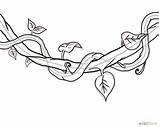 Vines Vine Jungle Draw Drawing Tree Leaves Wikihow Drawings Simple Tattoo Ivy Line Hanging Tattoos Clipart Flower Sketch Thorn Plant sketch template