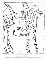 Coloring Bat Vampire Pages False Realistic Animal Coloringhome Popular sketch template