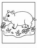 Coloring Pages Pig Kids Printable Template Valentine Pigs Animal Baby Farm Colouring Printables Animals Sheets Cute Gif Print Jr Crafts sketch template