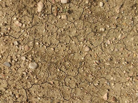 dry dirt texture picture  photograph  public domain