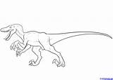 Raptor Velociraptor Pages sketch template