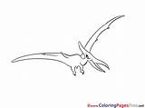 Pterodactyl Dinosaurs sketch template