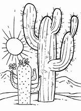 Cactus Kaktus Ausmalbilder Paisaje Colorir Bordar Puesta Tutoriais Mexicano Cactos Riscos Colouring Gaddynippercrayons Plant Paginas Coloringfolder sketch template