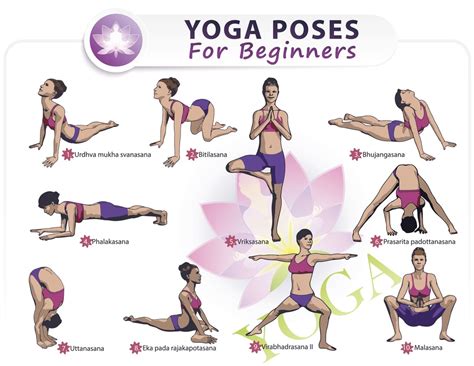 Yoga For Beginners How To Yoga For Beginners Avaana
