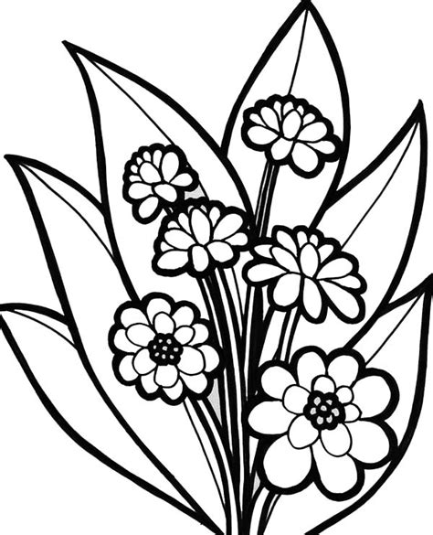 flower plants  blossom coloring page coloring sky