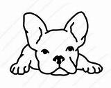 Bulldog Sheets sketch template