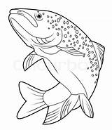 Salmon Fish Vector Trout Drawing Drawings Template Stock Rainbow Colourbox Coloring Getdrawings Pages Line Sketch Scrimshaw Illustration Depositphotos Choose Board sketch template