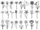 Dessin Blume Zeichnen Strichzeichnung Fleur Botanical Inspiriert Tat Originalvorlage Siterubix Sticken sketch template