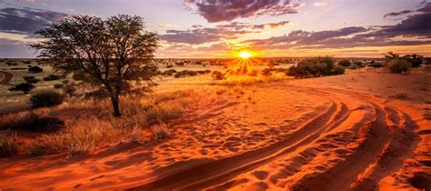 private tours vacations   kalahari desert botswana untold