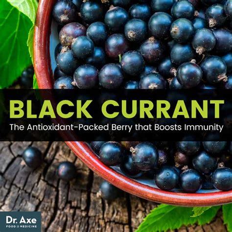 black currant  antioxidant packed berry  boosts immunity