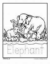 Zoo Coloring Animals Pages Animal Elephant Writing Babies Baby Color Templates Elephants Printable Kids Tracing Activities Colour Worksheets Library Clipart sketch template