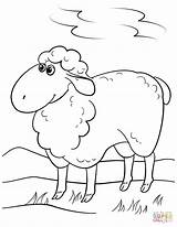 Sheep Coloring Cartoon Cute Pages Lamb Drawing Printable Getdrawings Simple Crafts Through Categories sketch template