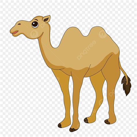 desert camel clipart transparent png hd cute desert camel clip art