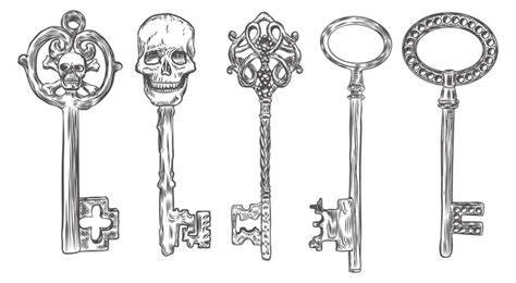skeleton key drawing images browse  stock  vectors