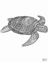 Coloring Zentangle Turtle Sea Pages Printable Drawing sketch template